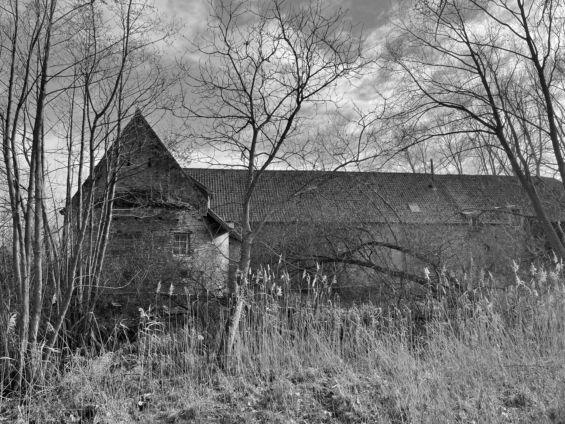 Les abords de la ferme