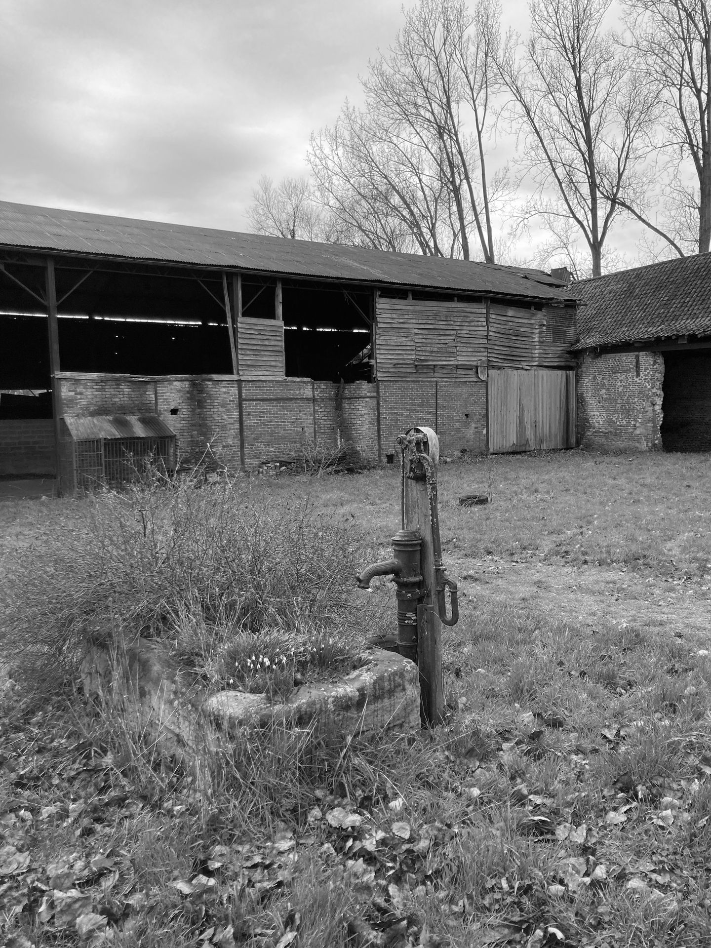 Photo du hangar