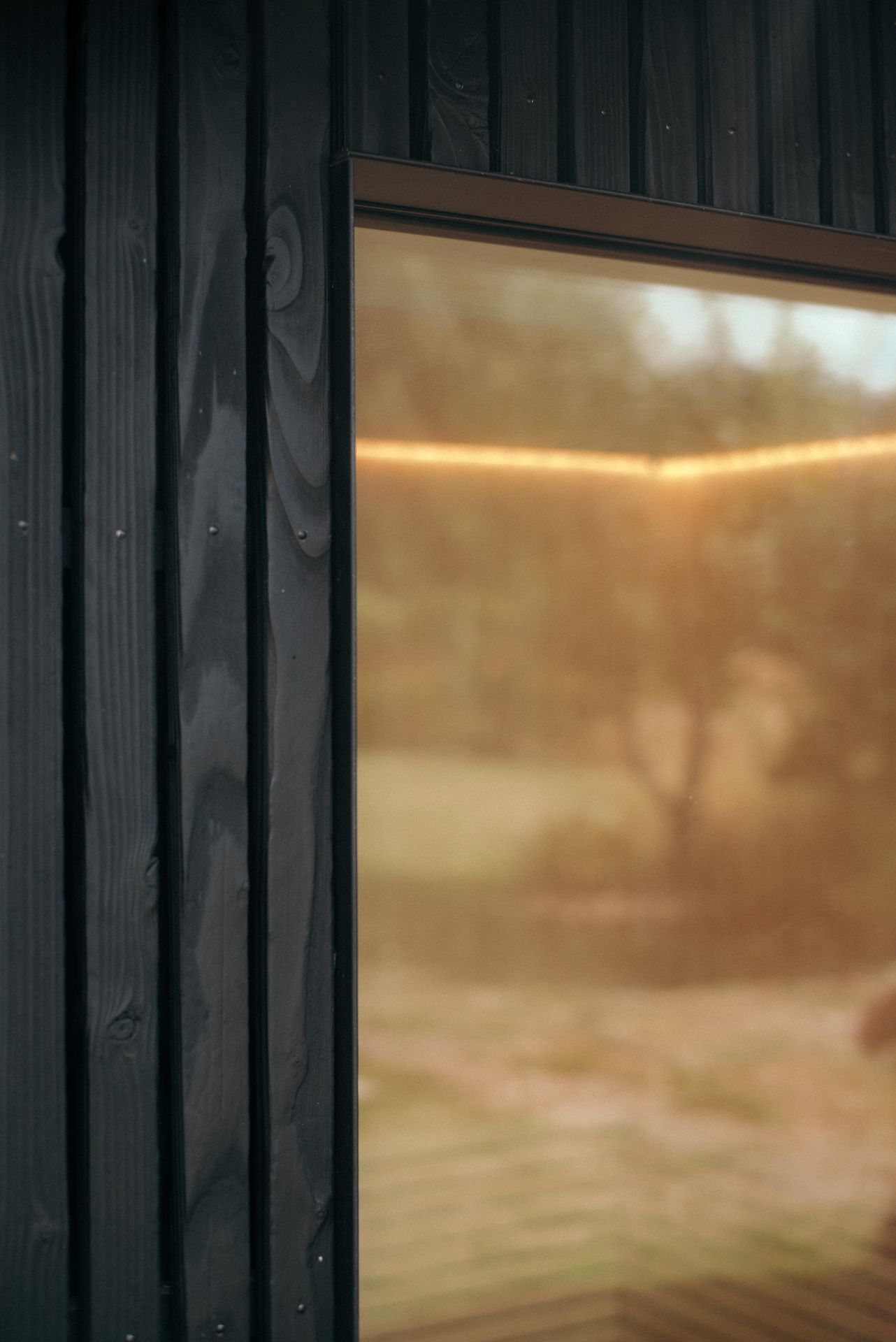 Sauna - façade en bois brûlé 