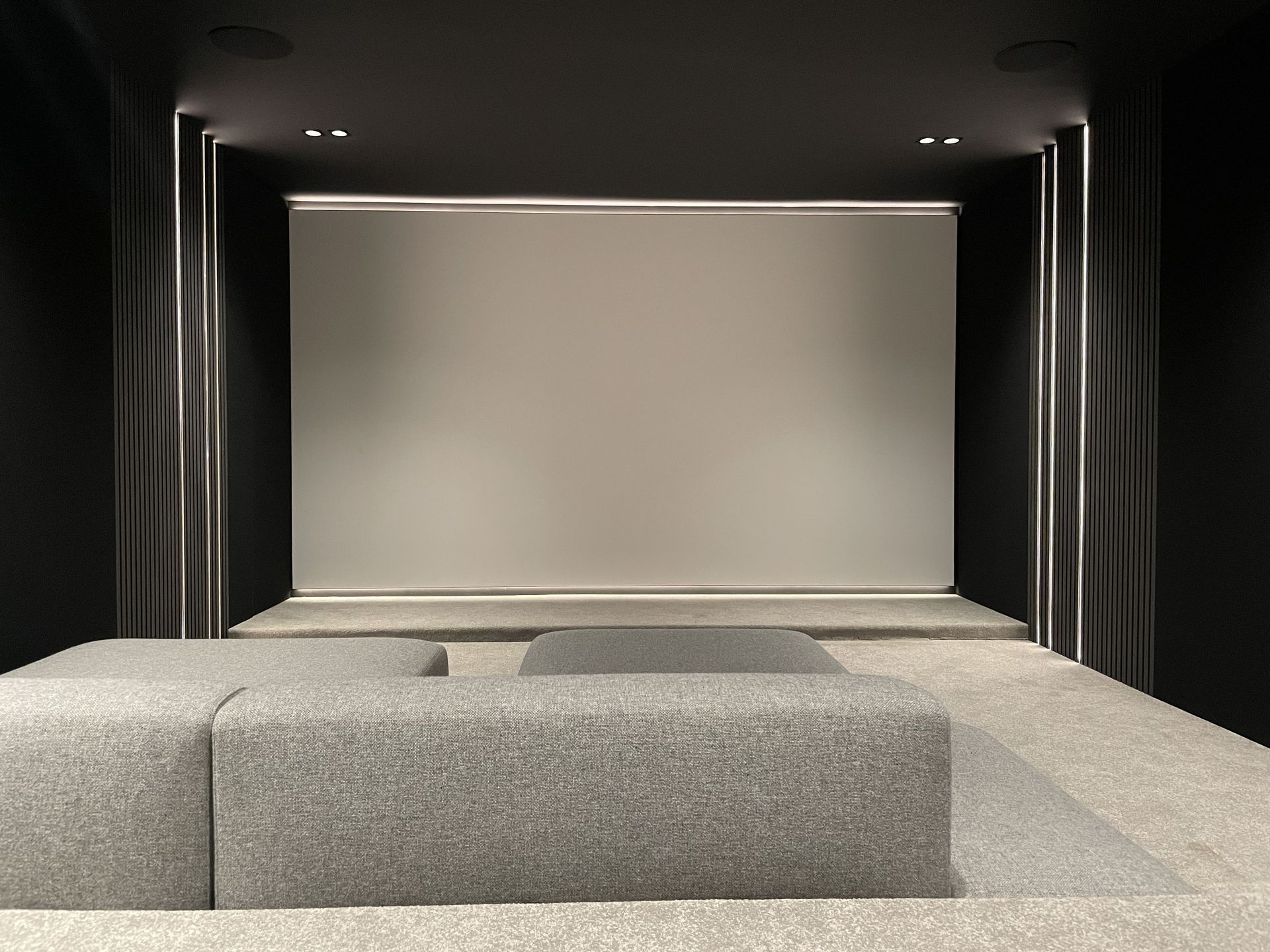 Grand écran de projection 