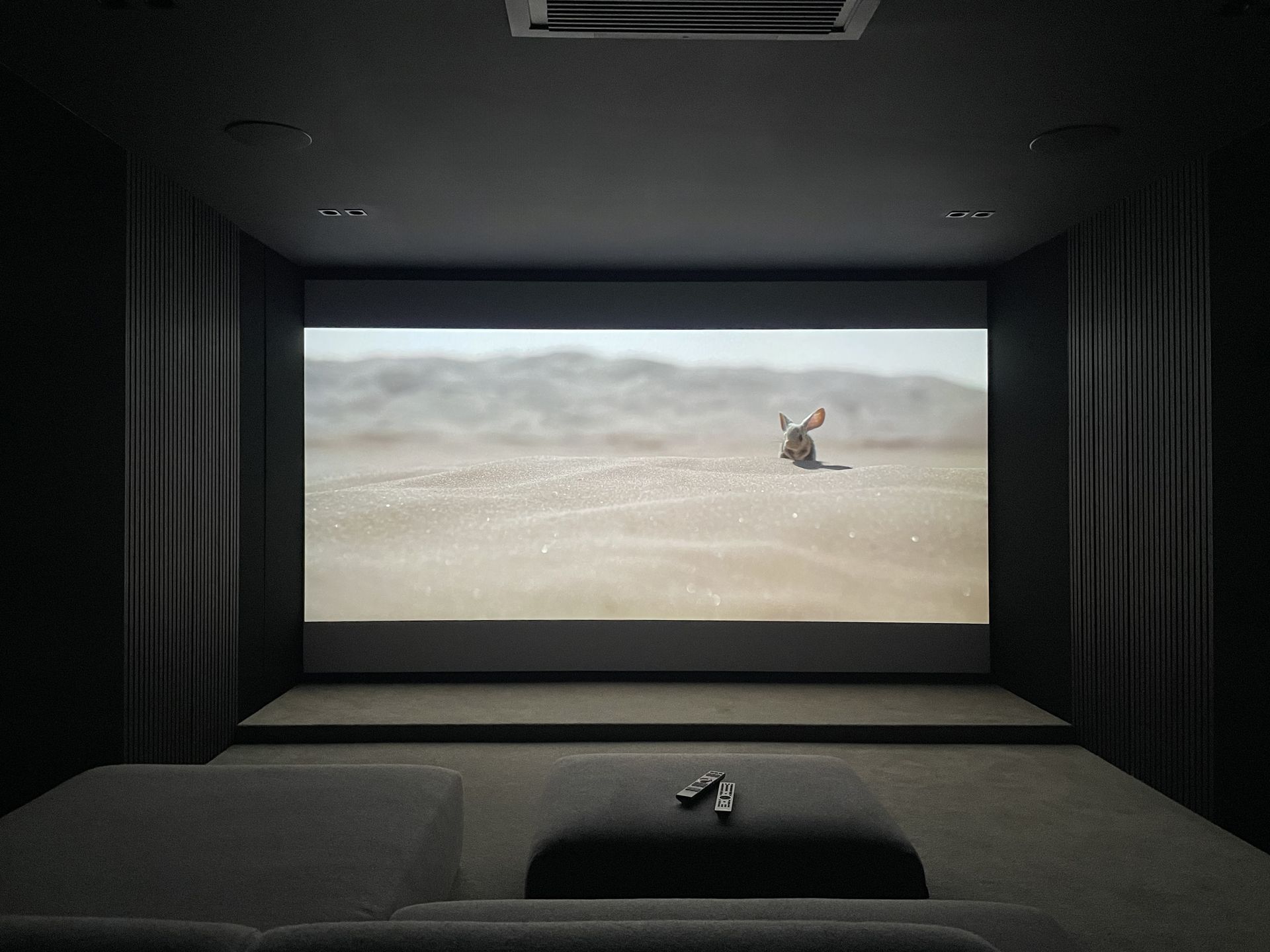Cinéma privé 